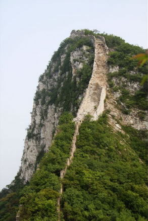 Ľ�����L���L(f��ng)���D